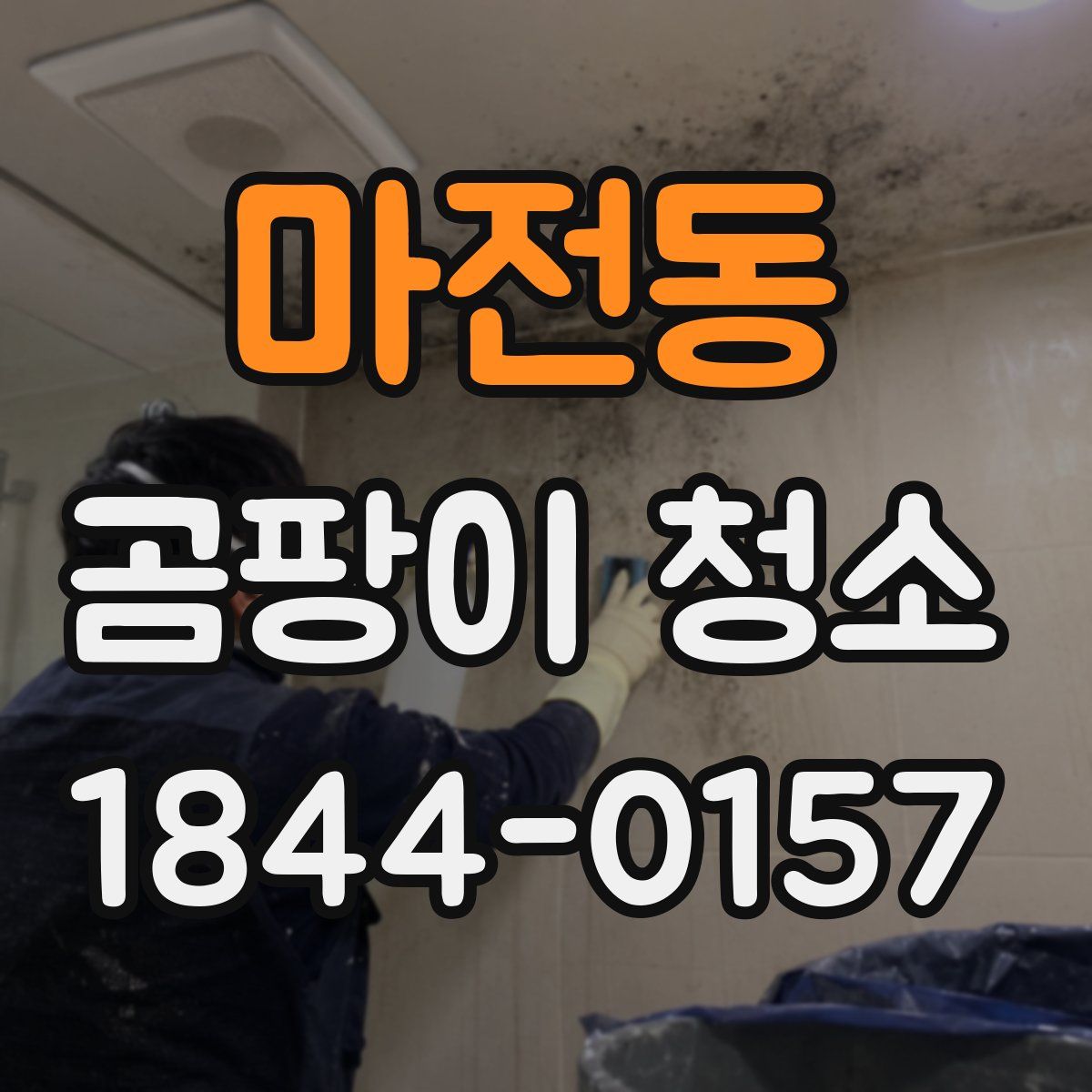 마전동 곰팡이 청소