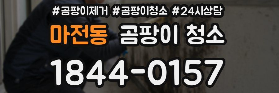 마전동 곰팡이 청소