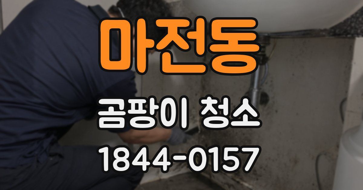 마전동 곰팡이 청소