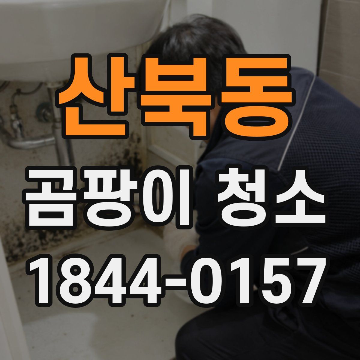 산북동 곰팡이 청소