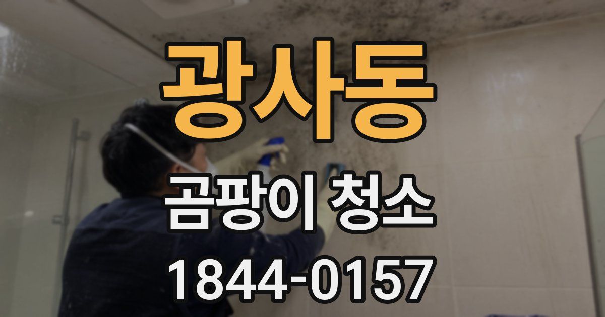 광사동 곰팡이 청소