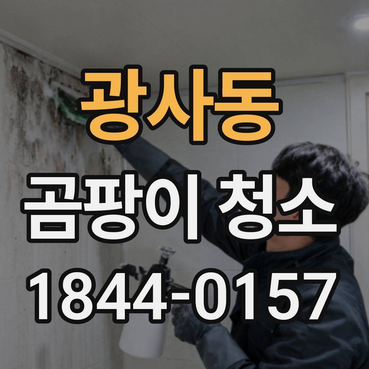 광사동 곰팡이 청소