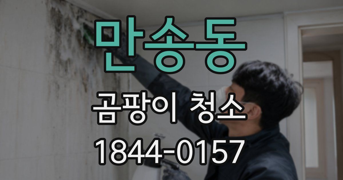 만송동 곰팡이 청소