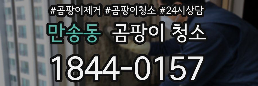 만송동 곰팡이 청소