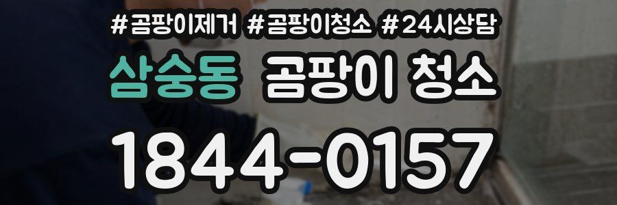 삼숭동 곰팡이 청소
