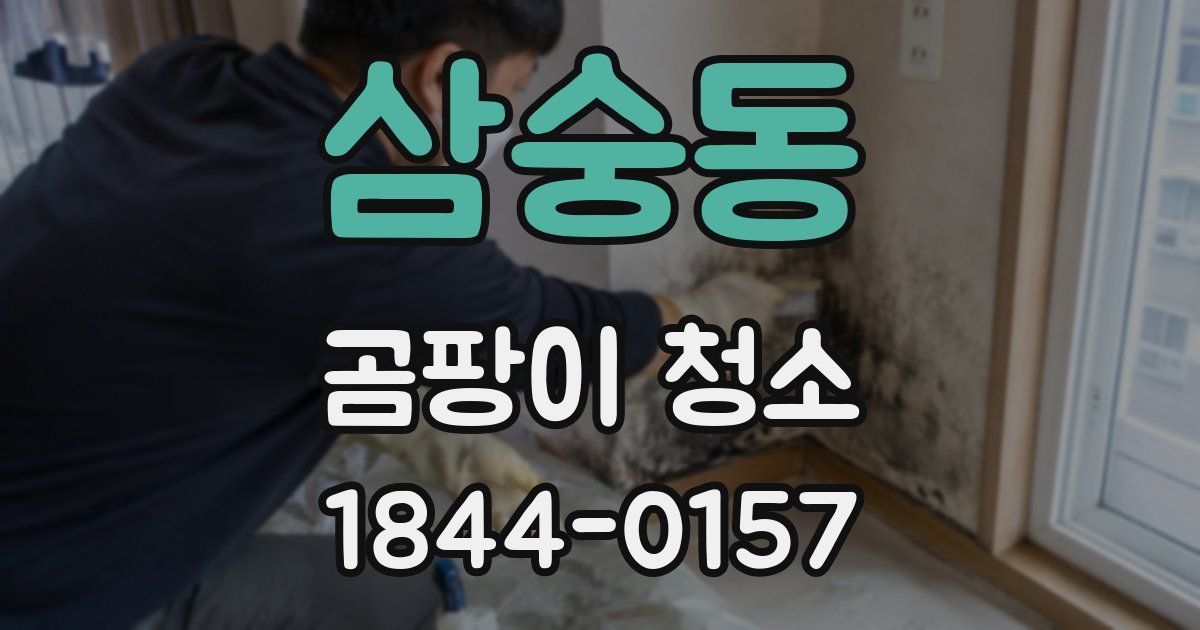 삼숭동 곰팡이 청소