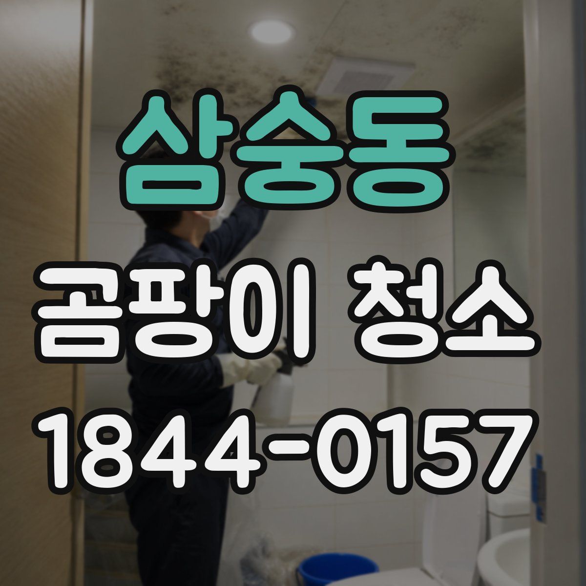 삼숭동 곰팡이 청소