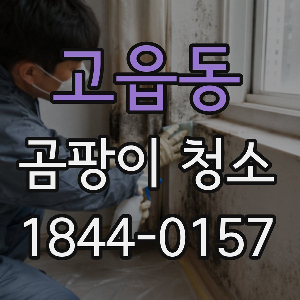 고읍동 곰팡이 청소