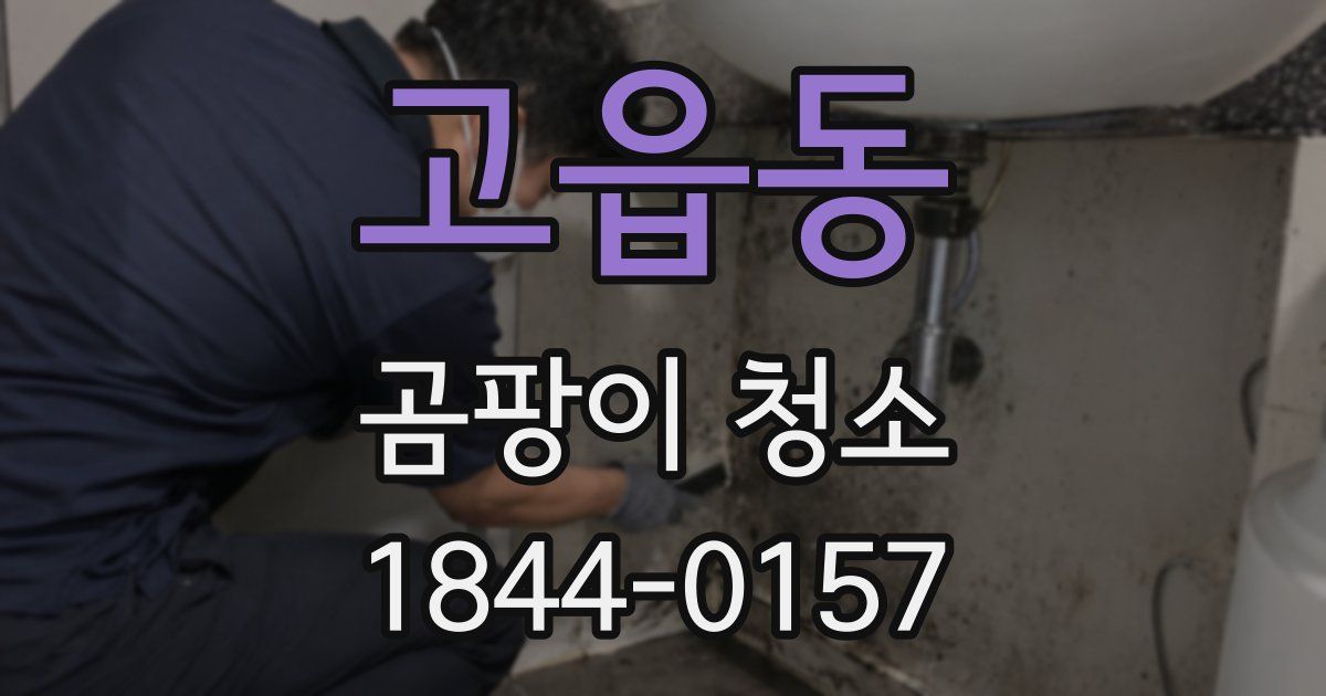 고읍동 곰팡이 청소