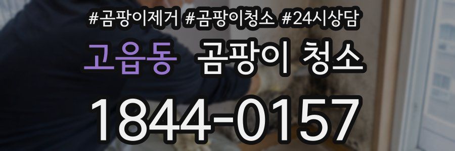 고읍동 곰팡이 청소