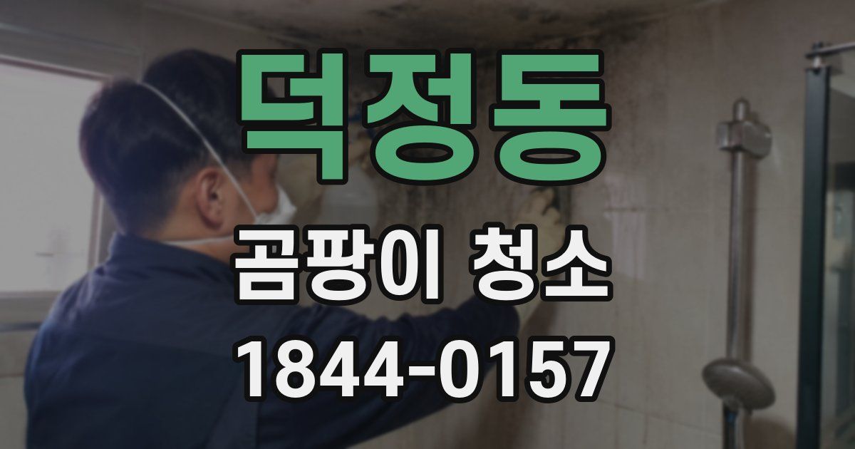 덕정동 곰팡이 청소