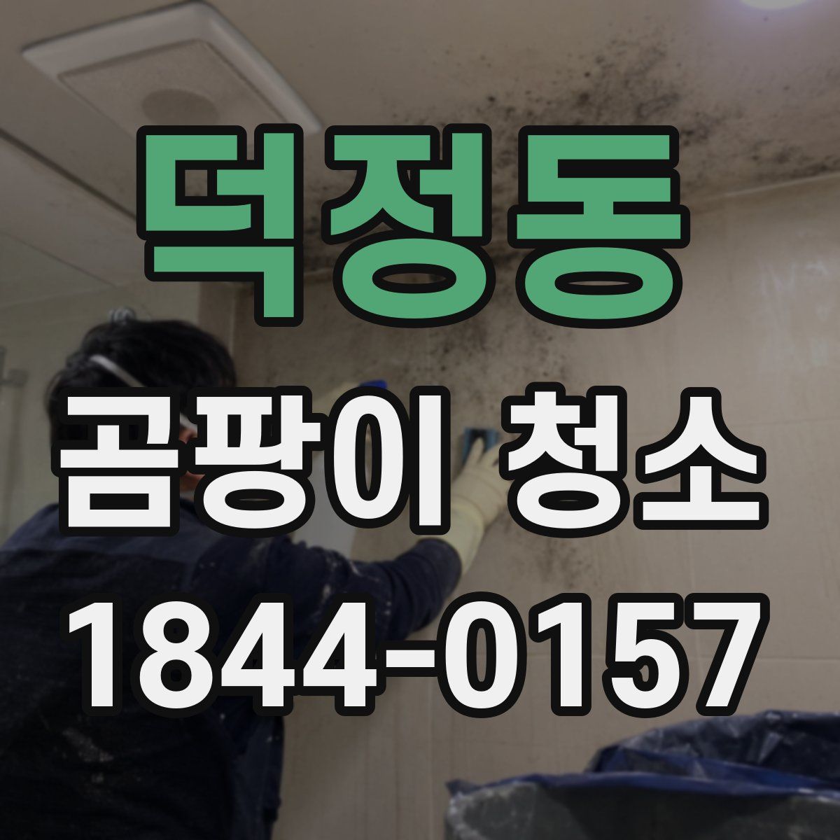 덕정동 곰팡이 청소