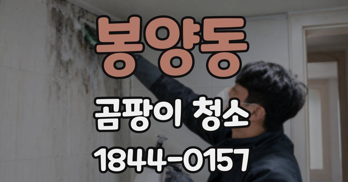봉양동 곰팡이 청소
