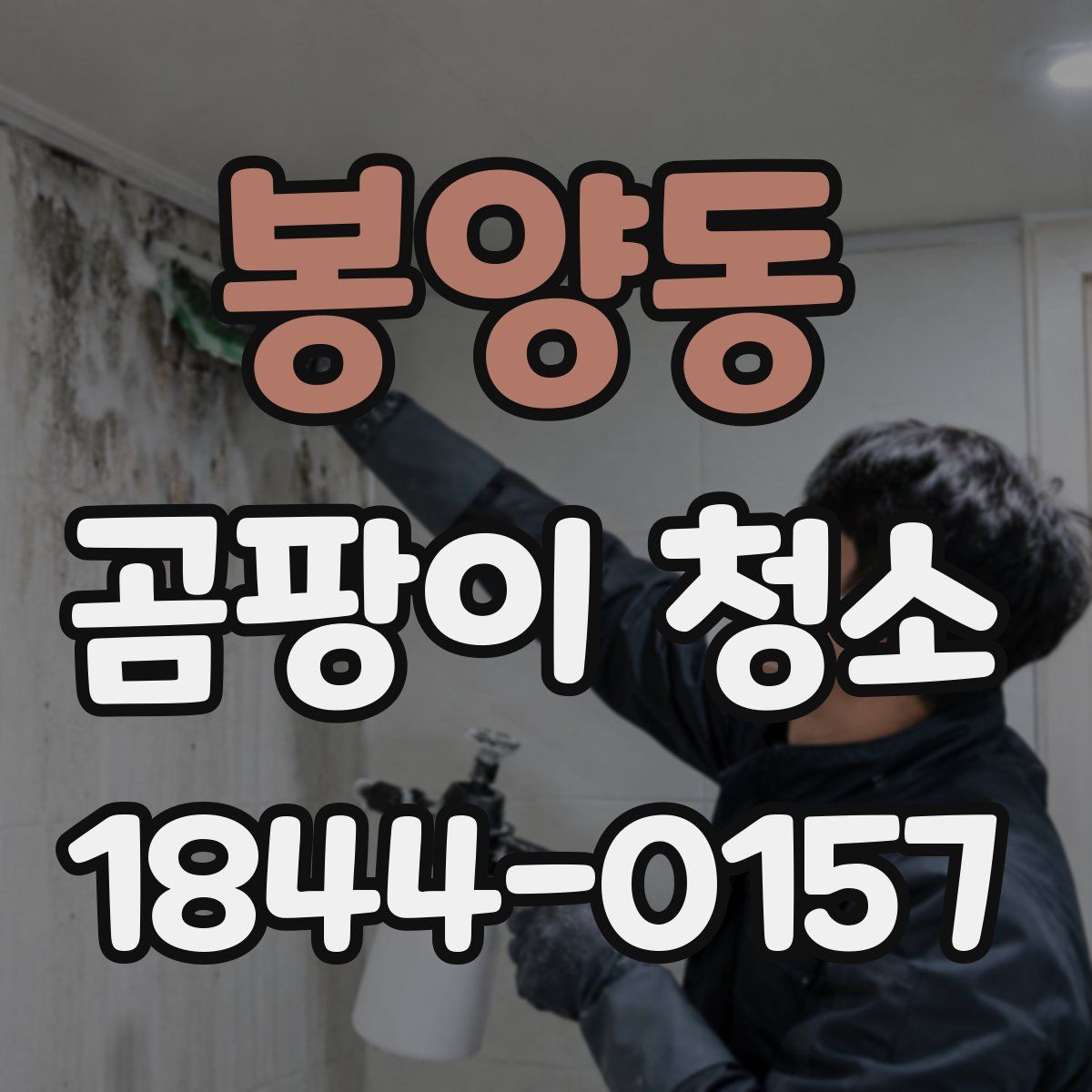 봉양동 곰팡이 청소