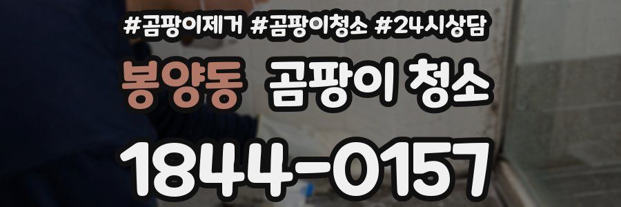 봉양동 곰팡이 청소
