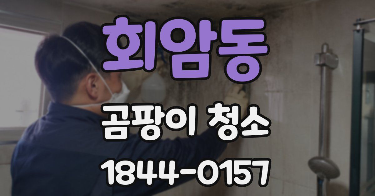 회암동 곰팡이 청소