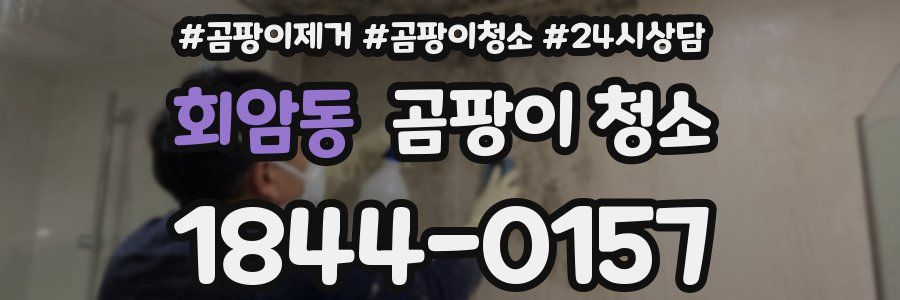 회암동 곰팡이 청소