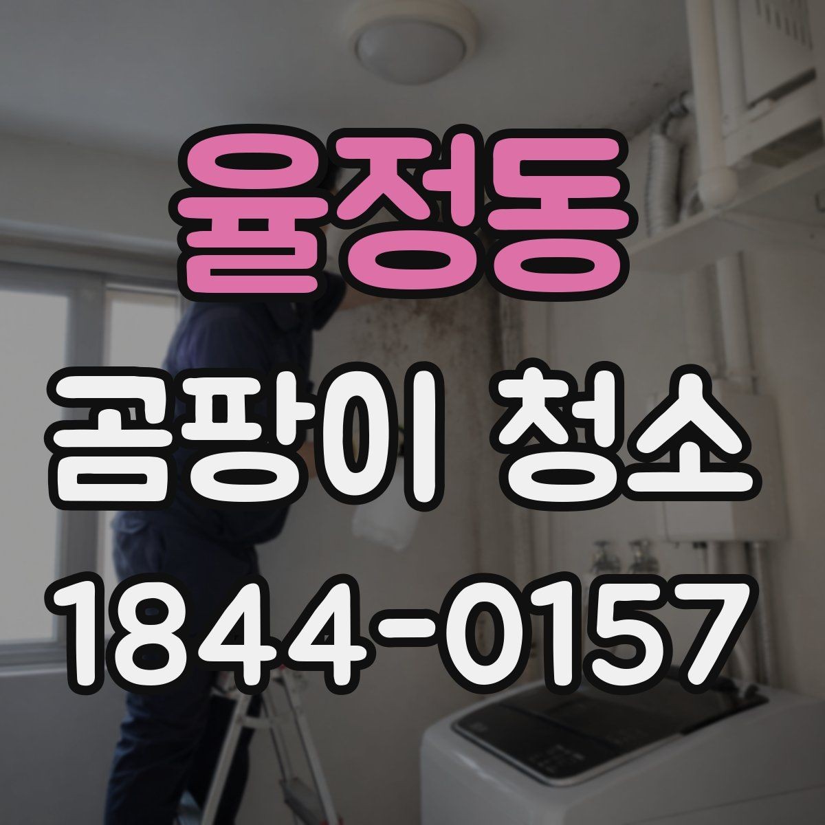 율정동 곰팡이 청소 예약 전 입주 공간 오염 포인트 확인법