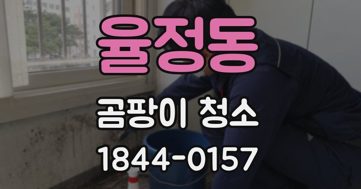 율정동 곰팡이 청소