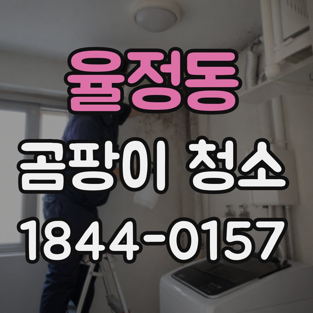 율정동 곰팡이 청소