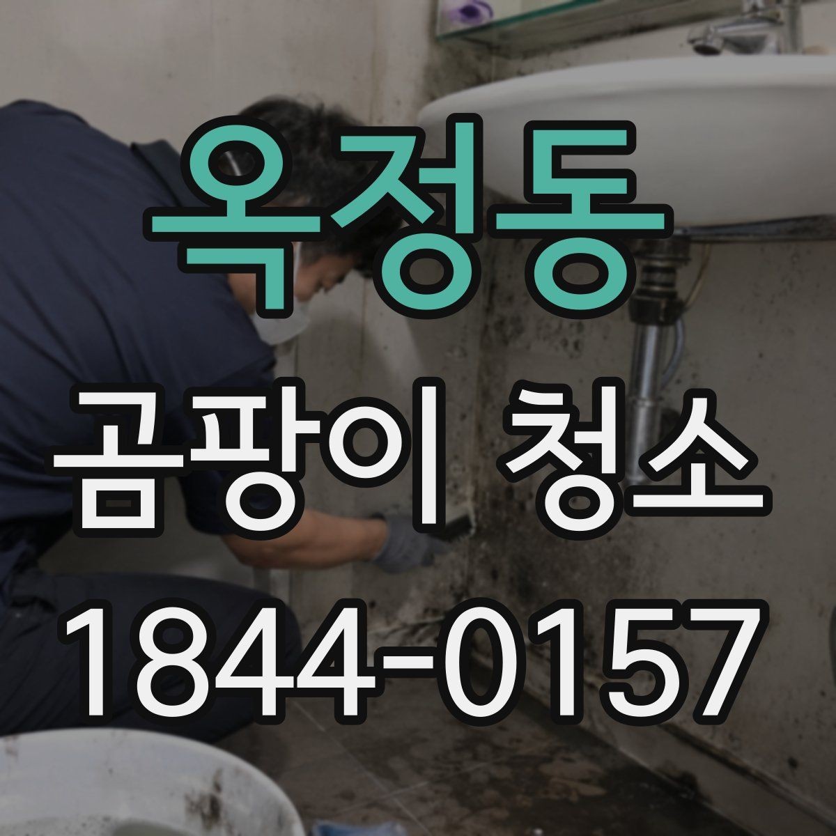 옥정동 곰팡이 청소 시 결로가 잦은 벽면을 점검하는 순서