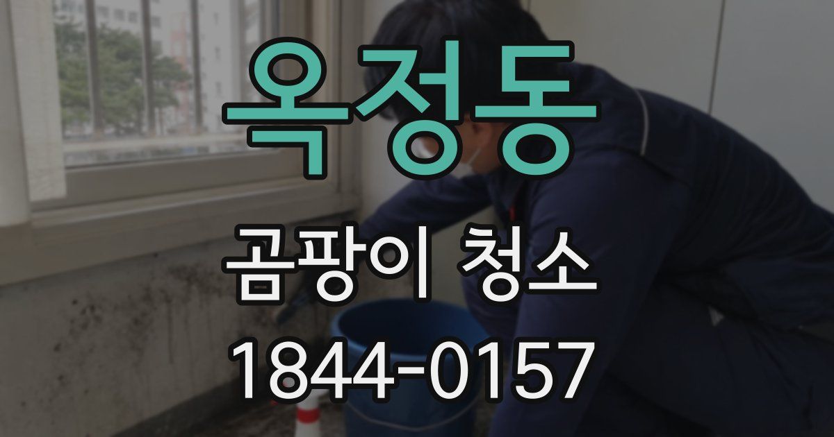 옥정동 곰팡이 청소