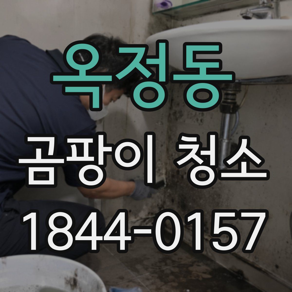 옥정동 곰팡이 청소