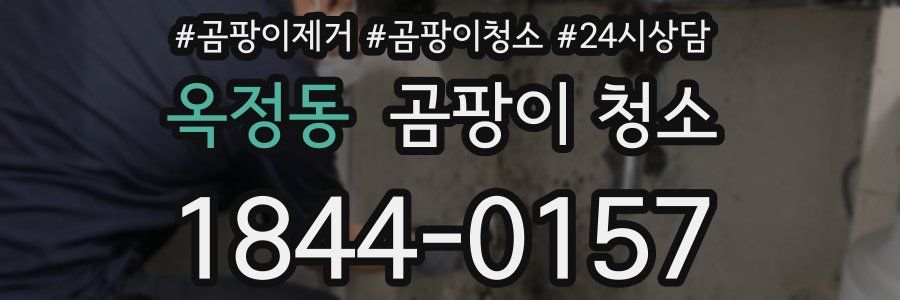 옥정동 곰팡이 청소