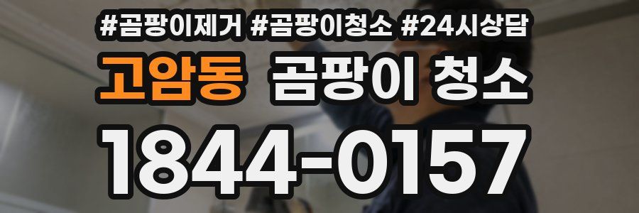 고암동 곰팡이 청소