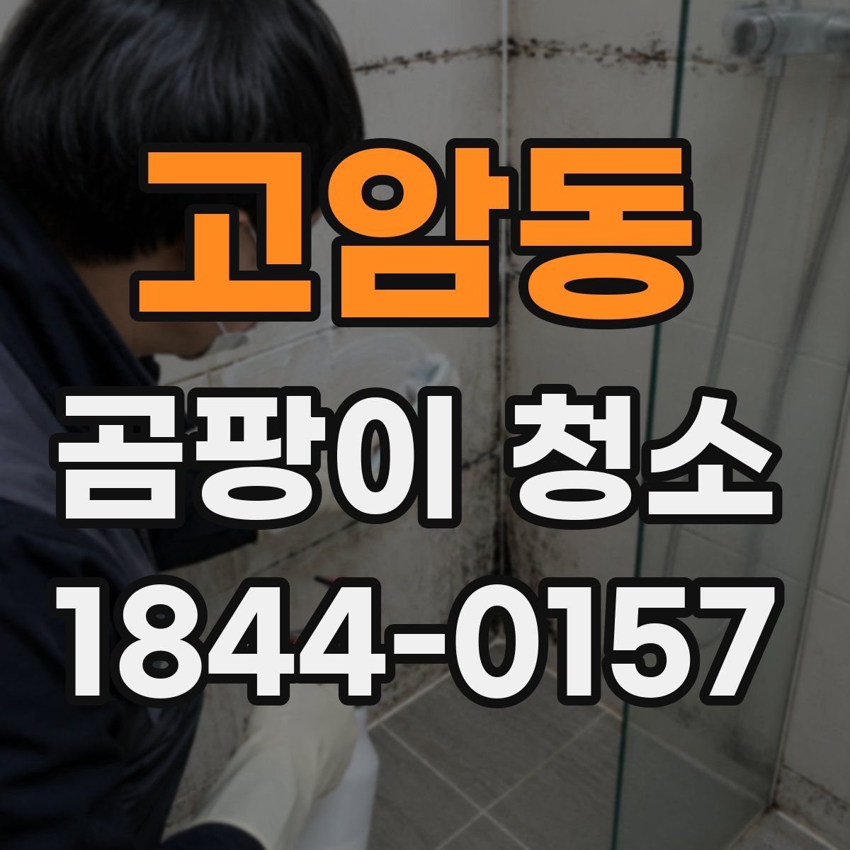 고암동 곰팡이 청소