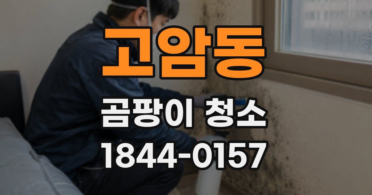 고암동 곰팡이 청소