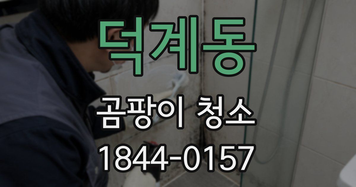덕계동 곰팡이 청소