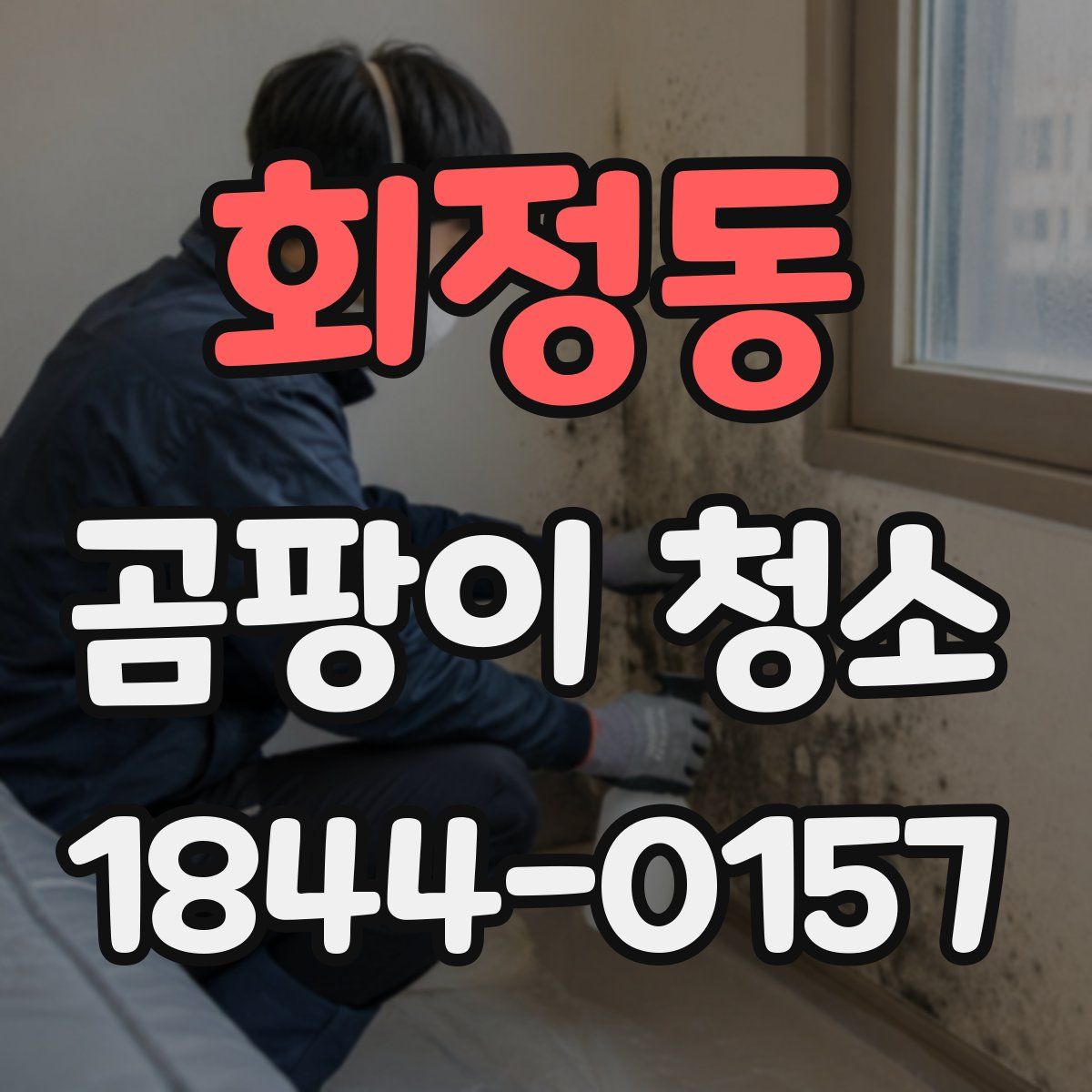 회정동 곰팡이 청소