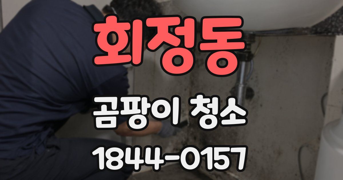 회정동 곰팡이 청소