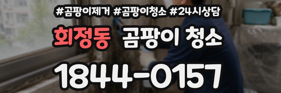 회정동 곰팡이 청소