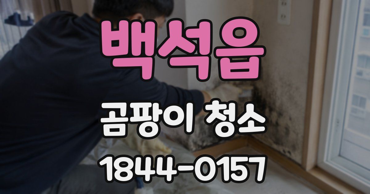 백석읍 곰팡이 청소