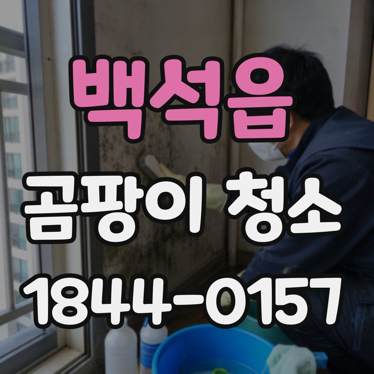 백석읍 곰팡이 청소
