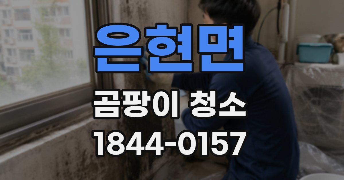 은현면 곰팡이 청소
