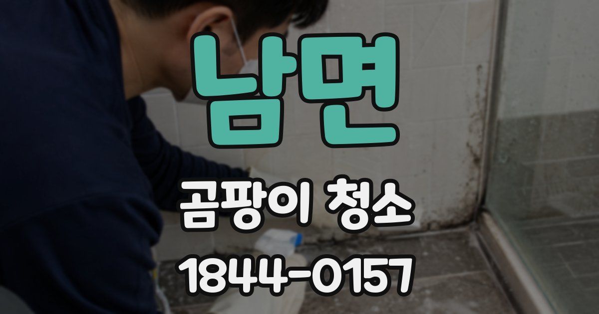 남면 곰팡이 청소