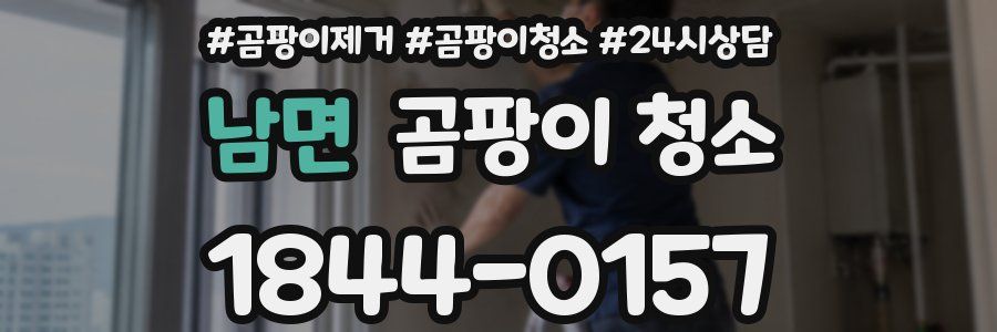 남면 곰팡이 청소