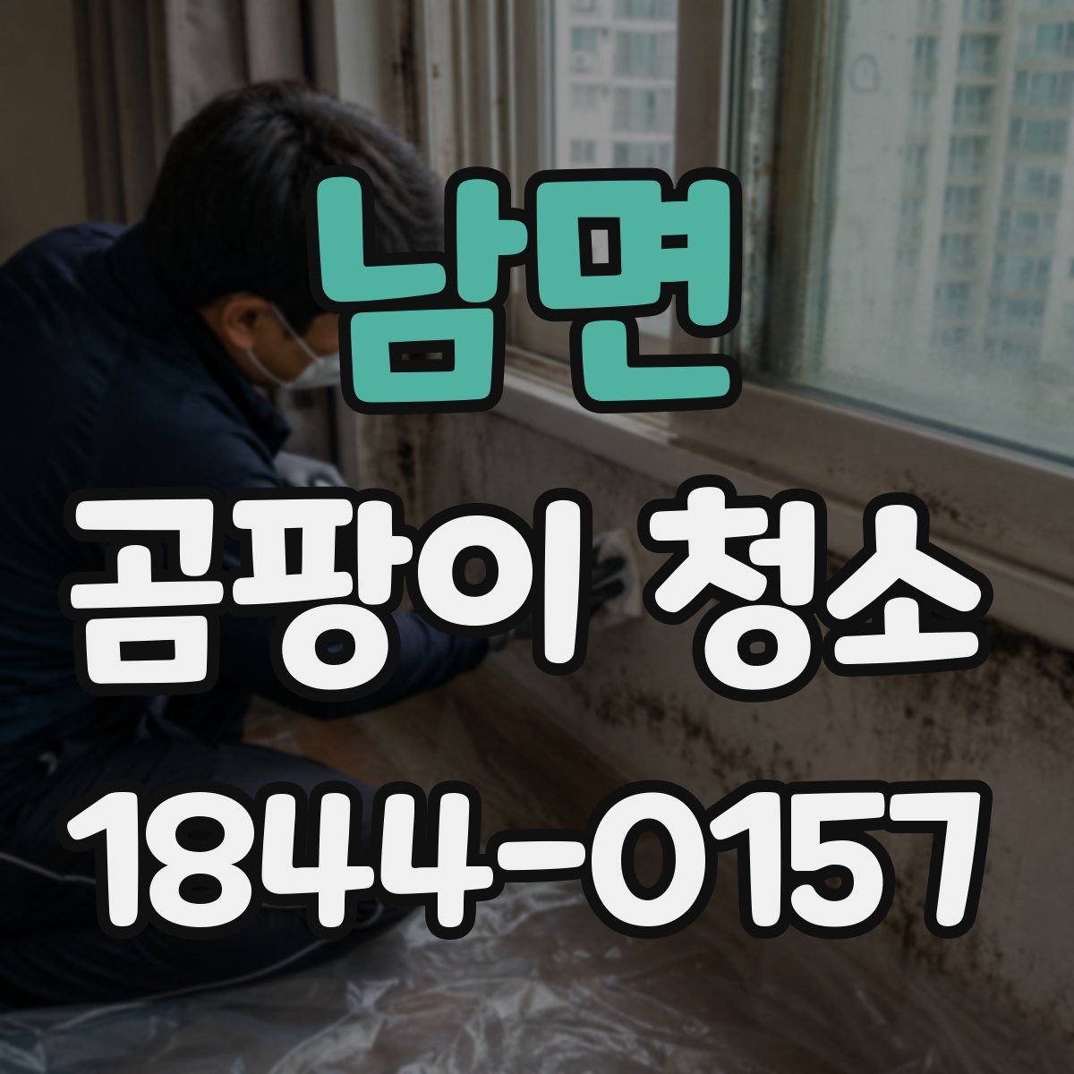 남면 곰팡이 청소