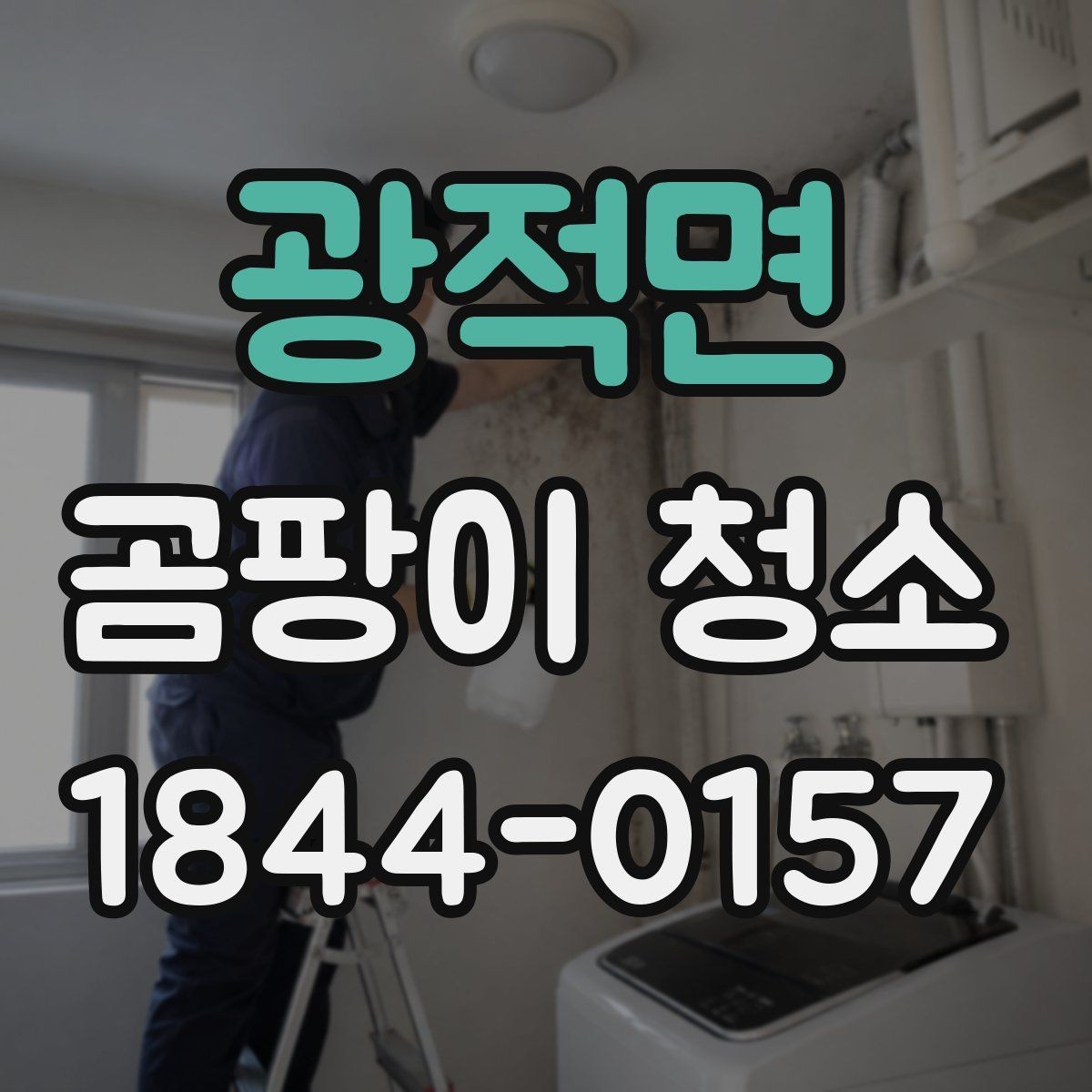 광적면 곰팡이 청소 목재 마감재 손상을 줄이며 진행하는 기준