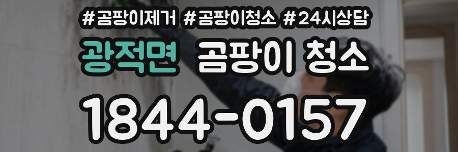 광적면 곰팡이 청소