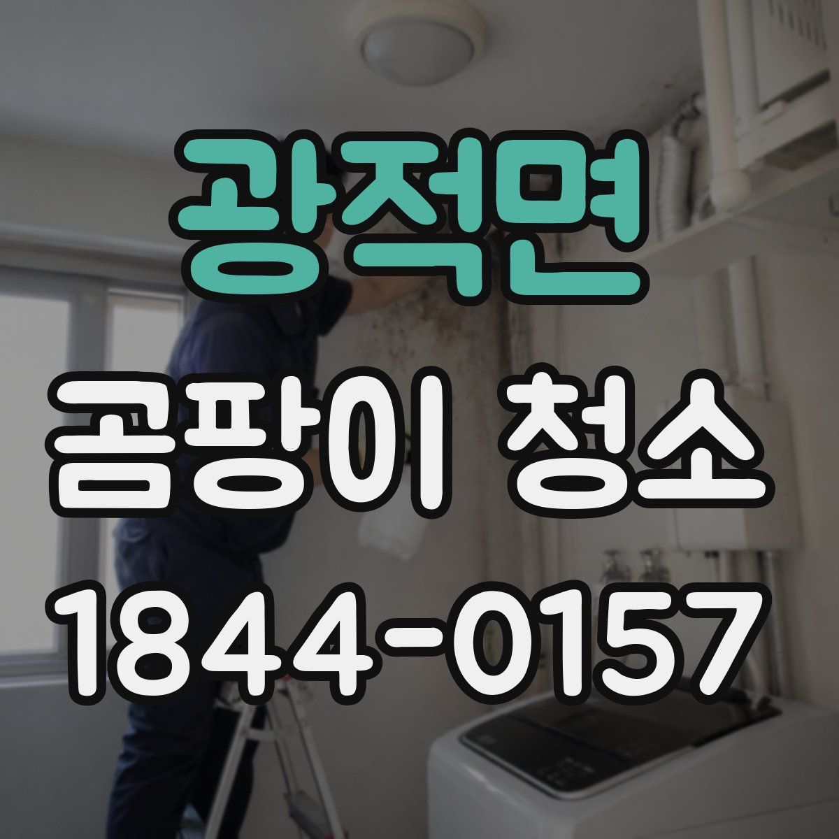 광적면 곰팡이 청소