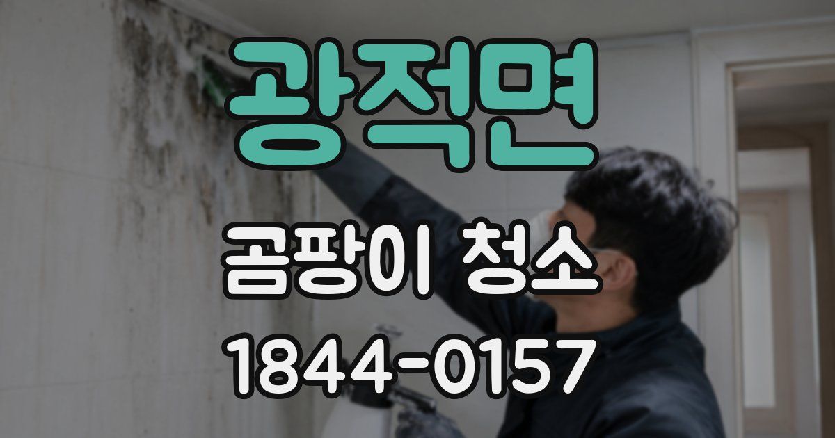 광적면 곰팡이 청소