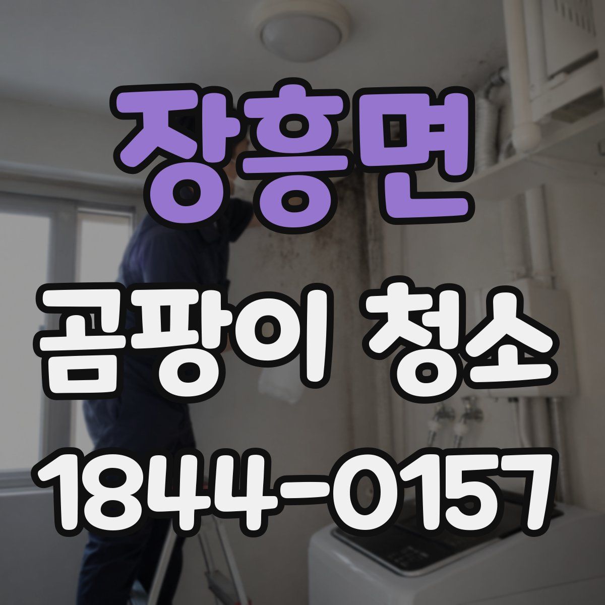 장흥면 곰팡이 청소