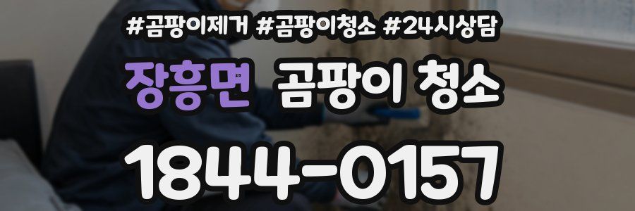 장흥면 곰팡이 청소