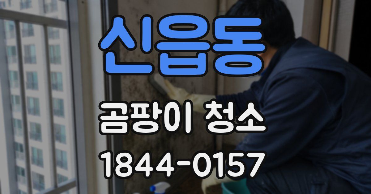 신읍동 곰팡이 청소