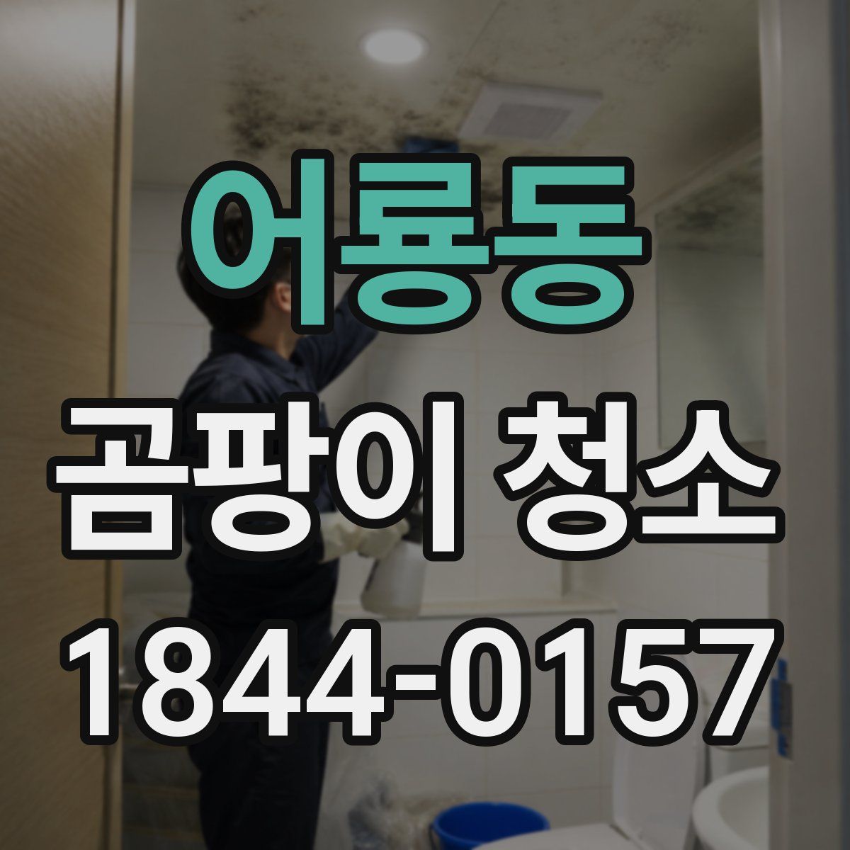 어룡동 곰팡이 청소