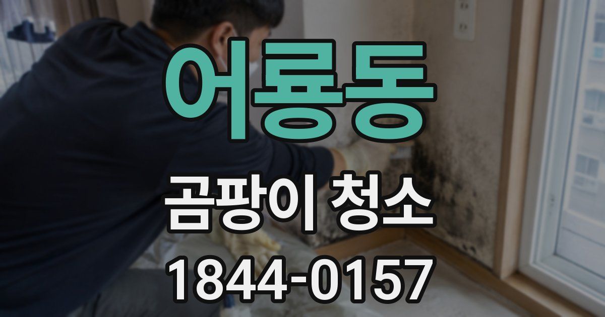 어룡동 곰팡이 청소
